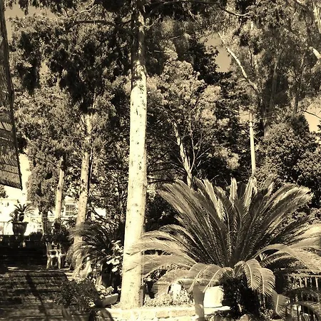 Hotel Eden Perdifumo