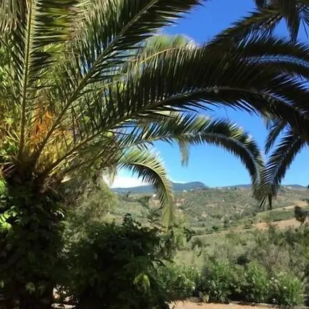 酒店 伊登酒店 佩尔迪富莫